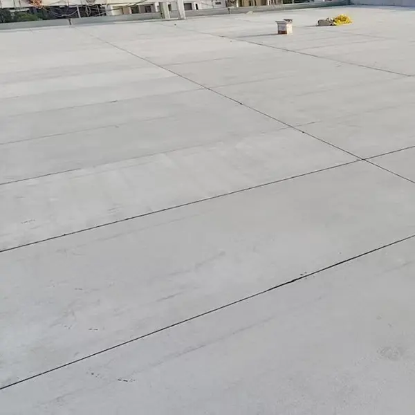 Warehouse Roof Project of Logistics Park (4).jpg